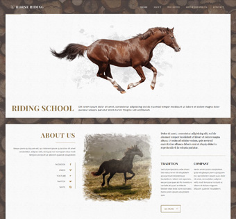 horse.jpg