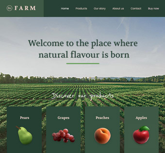 farm2.jpg